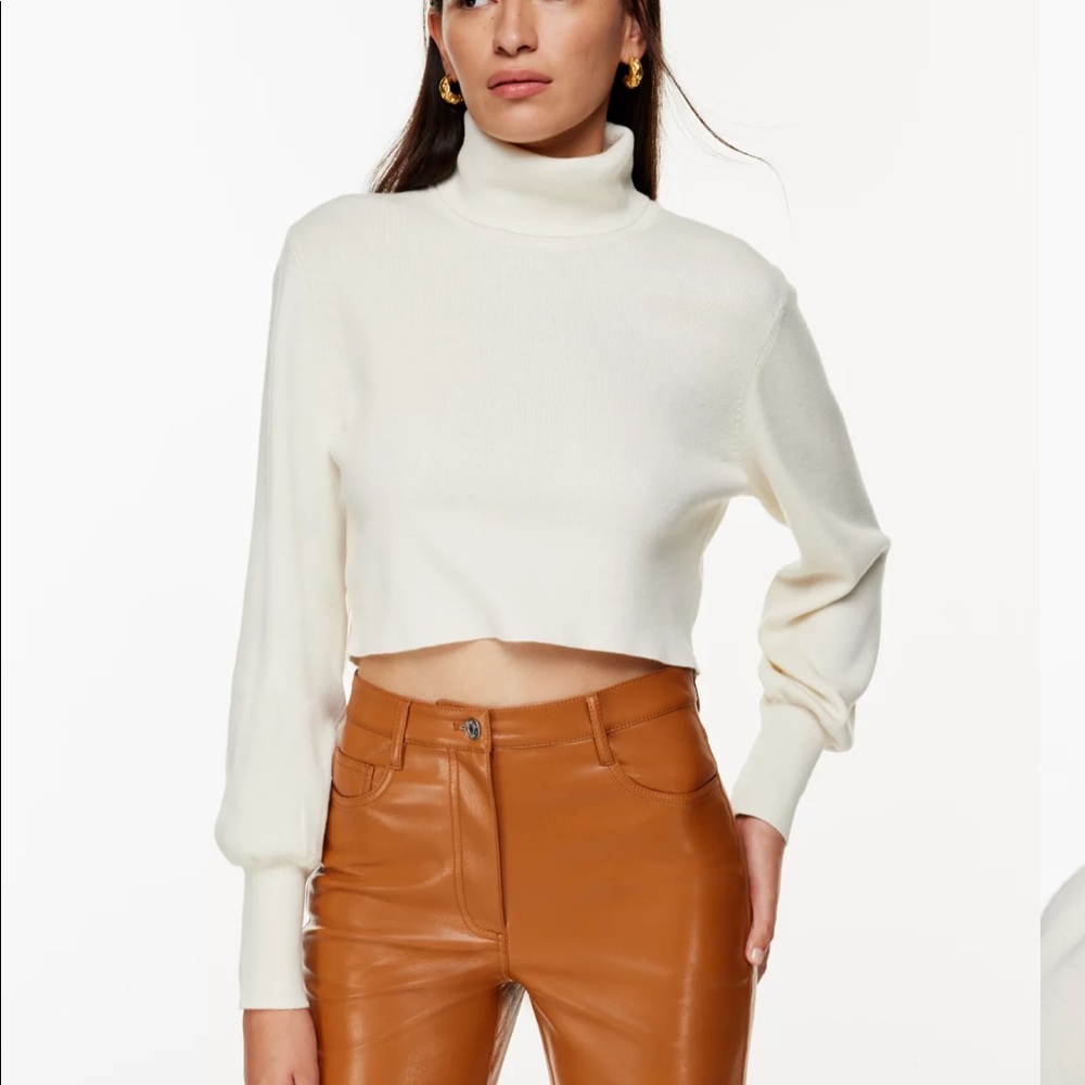 Aritzia REBECCA turtleneck